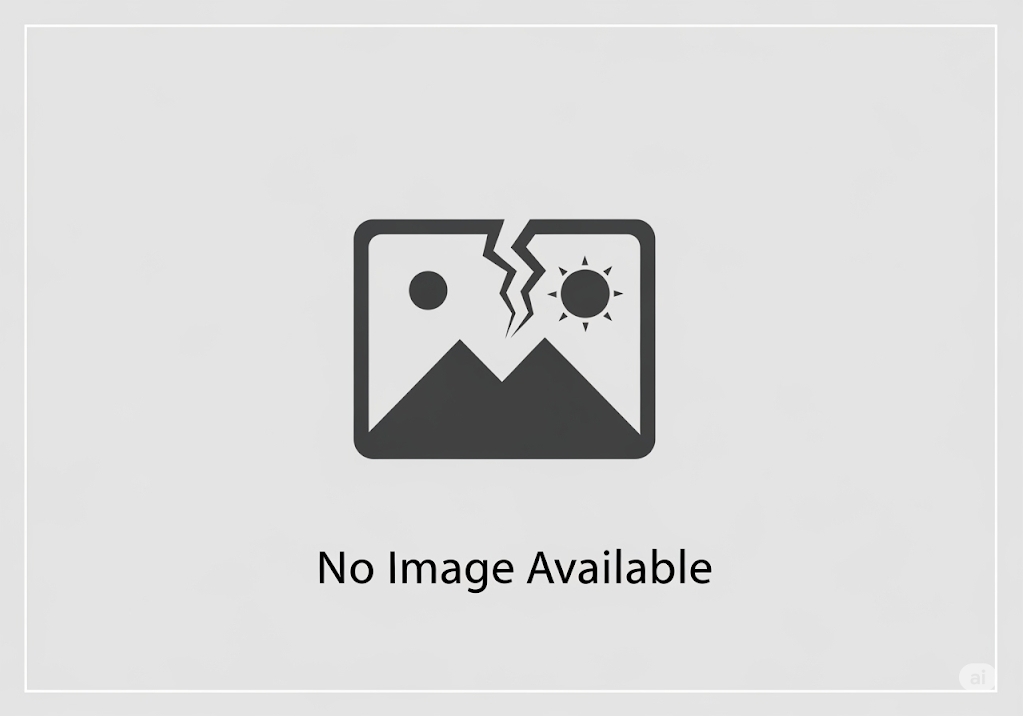 Building a Better Belly: How Scientists Are Engineering New Abdominal Walls